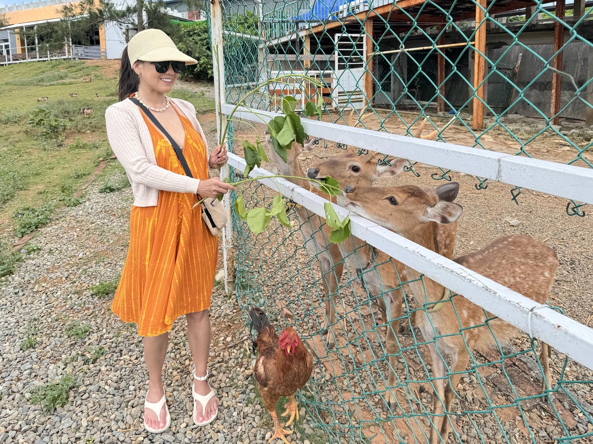 20250829-0twc7 20250829-0twc7