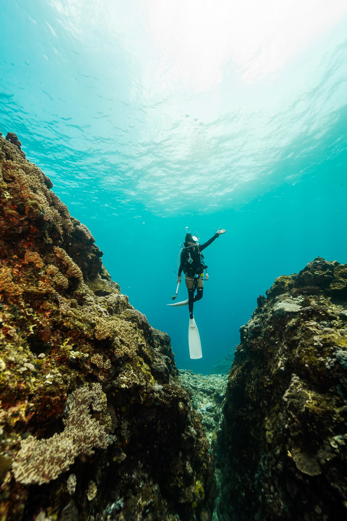 20250829-eeny1 20250829-eeny1