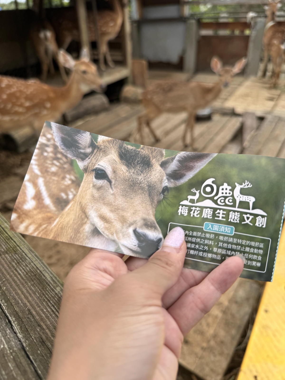 20250829-gvzzt 20250829-gvzzt