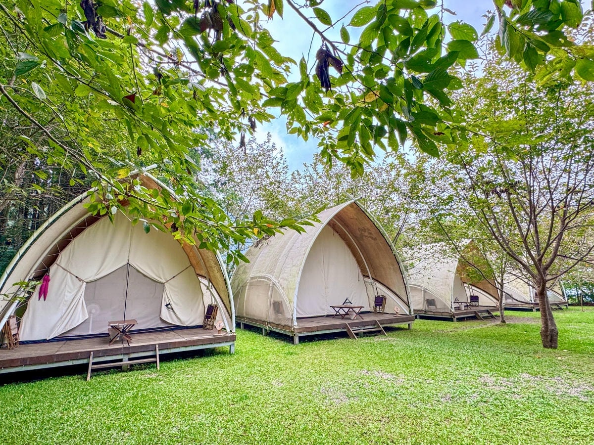 ❤露營區分享❤【蟬說:霧繞】入住「好冬小屋四人房」被山谷雲霧圍繞的一泊二食 - 第11張圖