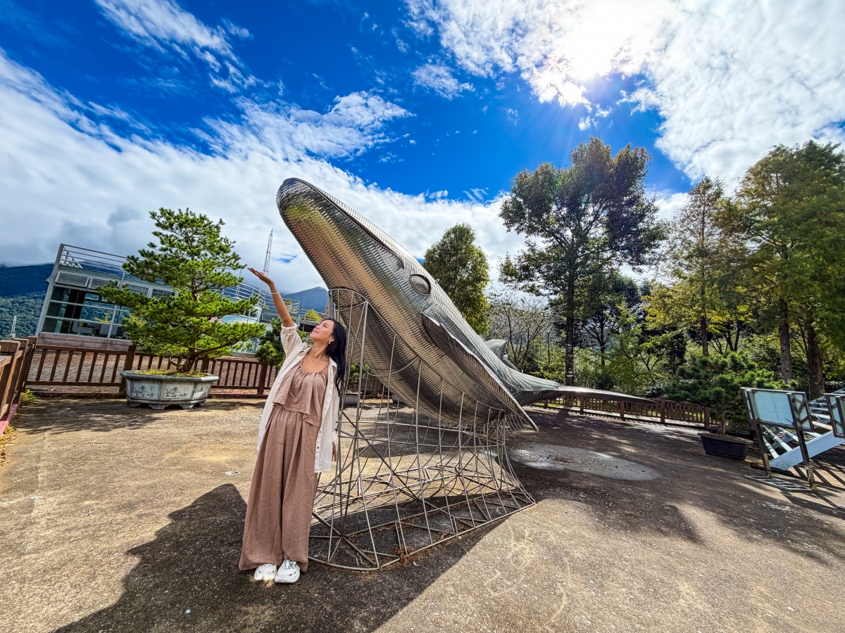 ❤旅宿分享❤【數碼天空太空艙】新竹尖石鄉住進雲裡的一晚｜一泊一食入住心得＋完整攻略