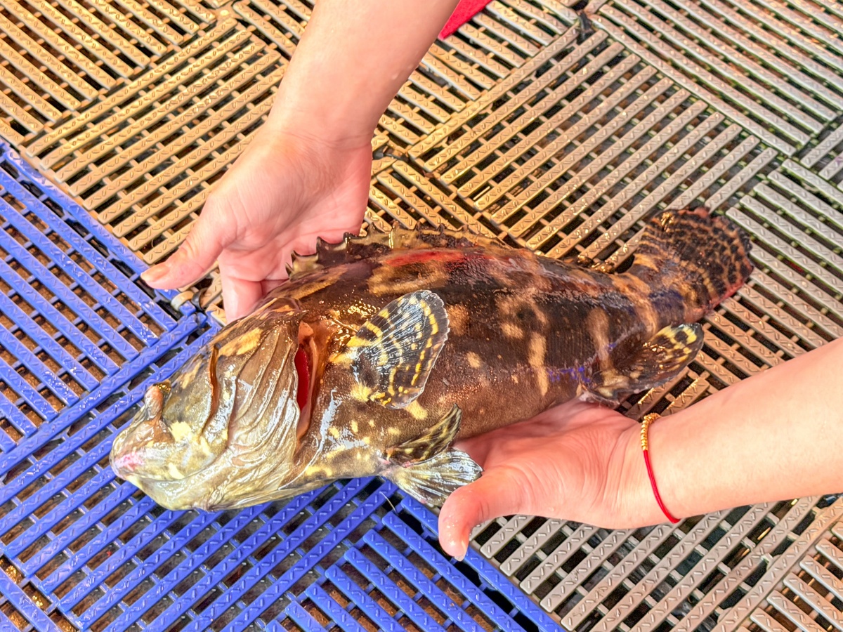 ❤美食分享❤【蟹老闆活海鮮】烏石港推薦海鮮餐廳｜好友餞行的那桌在地海味