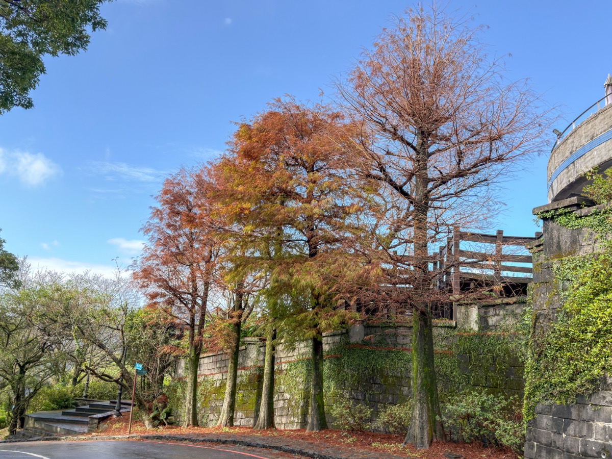 ❤景點分享❤【蟬說:暖硫 一泊二食】陽明山帳篷住宿體驗|住進山裡,泡硫磺夜湯、吃一頓溫暖的晚餐 - 第2張圖 ❤景點分享❤【蟬說:暖硫 一泊二食】陽明山帳篷住宿體驗|住進山裡,泡硫磺夜湯、吃一頓溫暖的晚餐