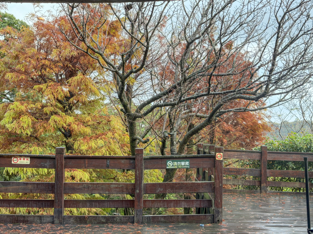 ❤景點分享❤【蟬說:暖硫 一泊二食】陽明山帳篷住宿體驗|住進山裡,泡硫磺夜湯、吃一頓溫暖的晚餐 - 第50張圖 ❤景點分享❤【蟬說:暖硫 一泊二食】陽明山帳篷住宿體驗|住進山裡,泡硫磺夜湯、吃一頓溫暖的晚餐