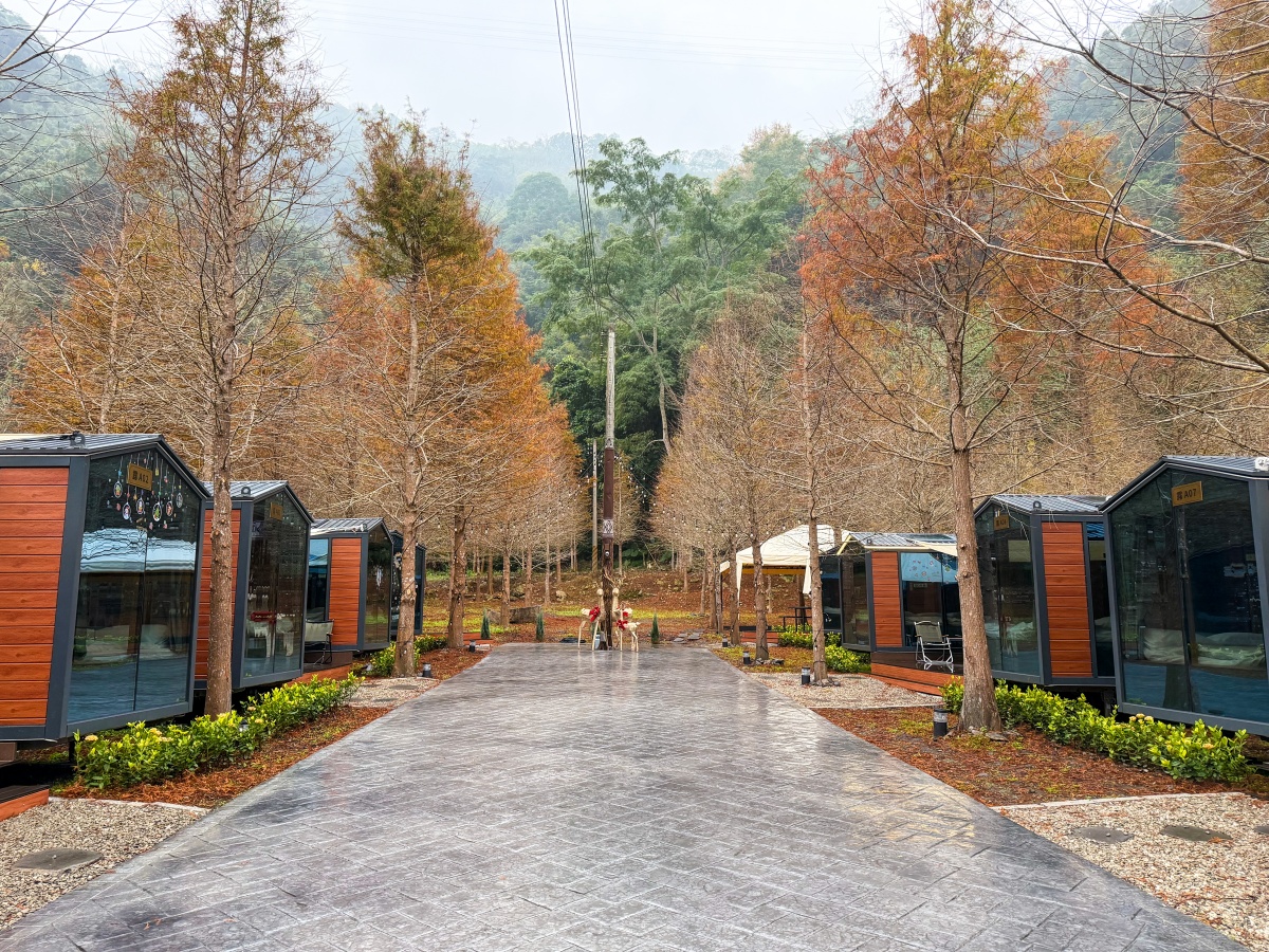 ❤旅宿分享❤【會來尖石溫泉渡假村】新竹尖石露營車推薦｜被落羽松包圍的懶人露營車，在森林裡醒來再去泡溫泉