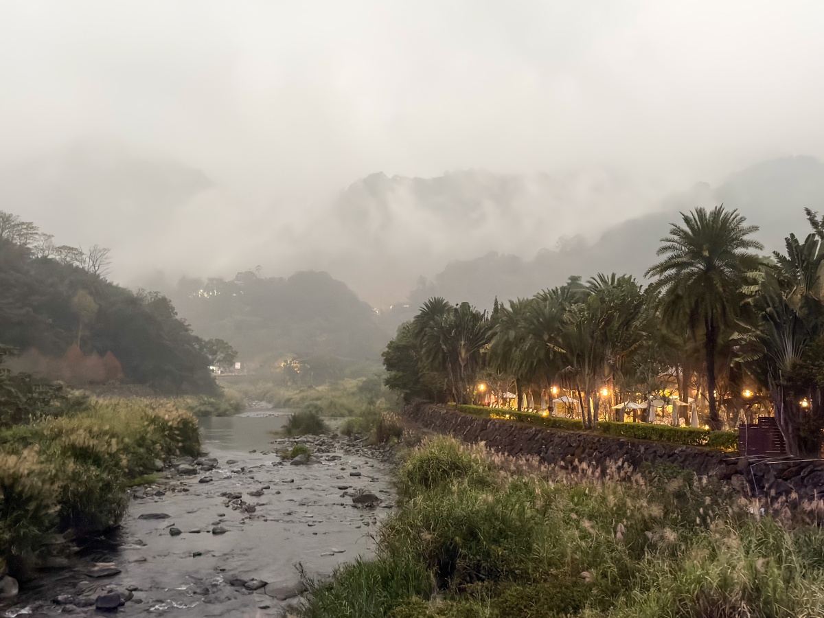 ❤旅宿分享❤【會來尖石溫泉渡假村】新竹尖石露營車推薦｜被落羽松包圍的懶人露營車，在森林裡醒來再去泡溫泉