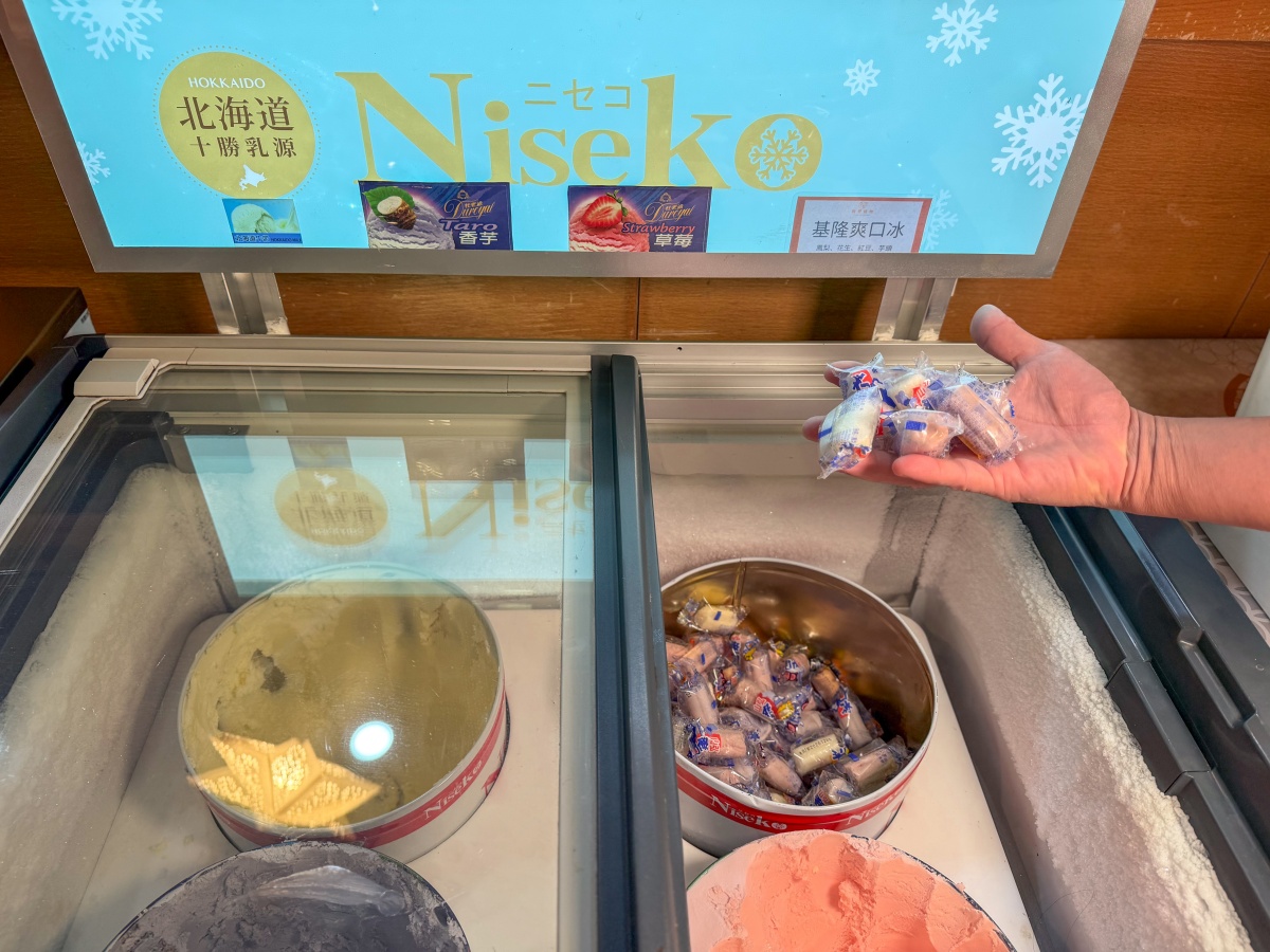 ❤旅宿分享❤【會來尖石溫泉渡假村】新竹尖石露營車推薦｜被落羽松包圍的懶人露營車，在森林裡醒來再去泡溫泉