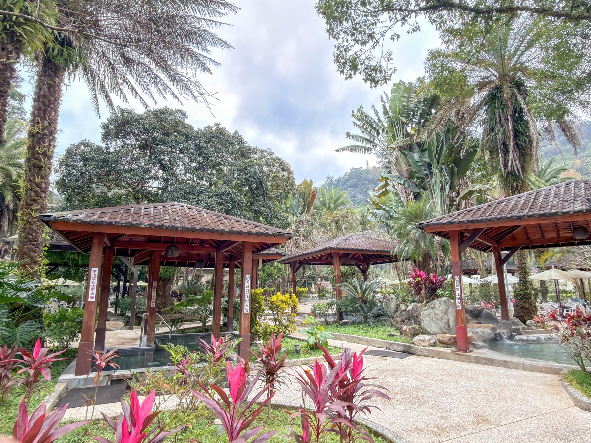 ❤旅宿分享❤【會來尖石溫泉渡假村】新竹尖石露營車推薦｜被落羽松包圍的懶人露營車，在森林裡醒來再去泡溫泉