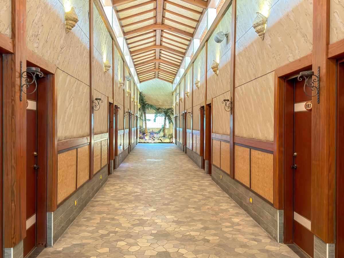 ❤旅宿分享❤【會來尖石溫泉渡假村】新竹尖石露營車推薦｜被落羽松包圍的懶人露營車，在森林裡醒來再去泡溫泉