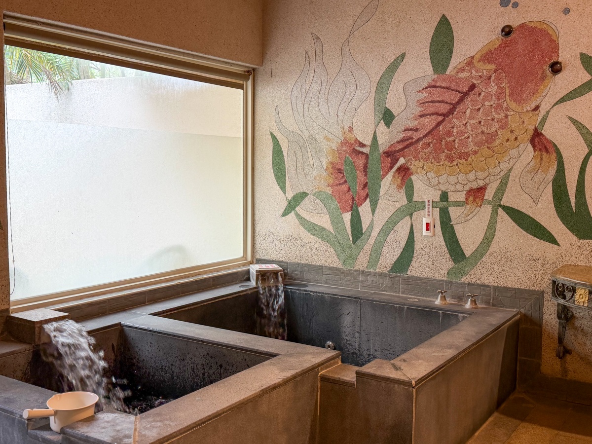 ❤旅宿分享❤【會來尖石溫泉渡假村】新竹尖石露營車推薦｜被落羽松包圍的懶人露營車，在森林裡醒來再去泡溫泉