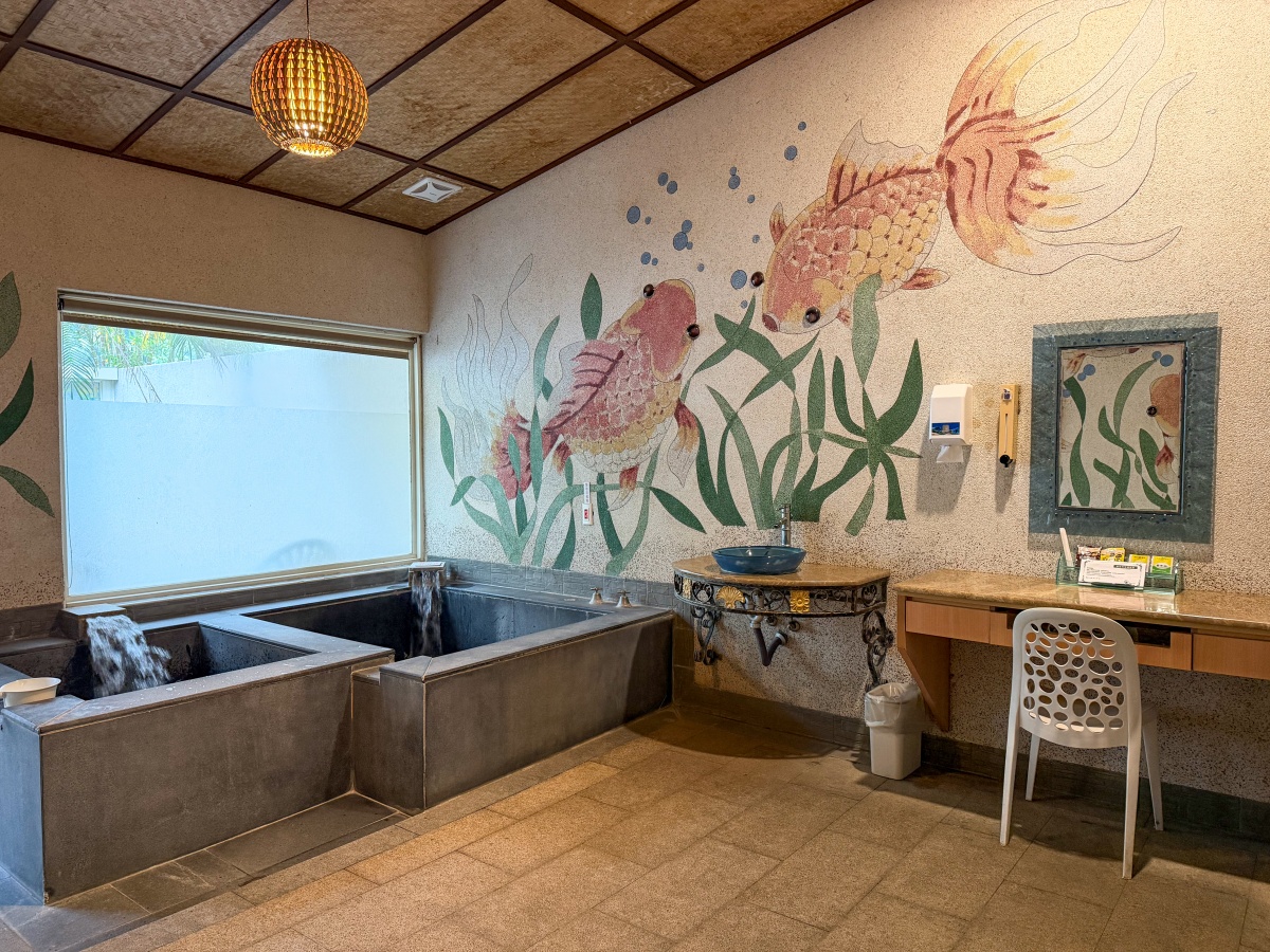 ❤旅宿分享❤【會來尖石溫泉渡假村】新竹尖石露營車推薦｜被落羽松包圍的懶人露營車，在森林裡醒來再去泡溫泉