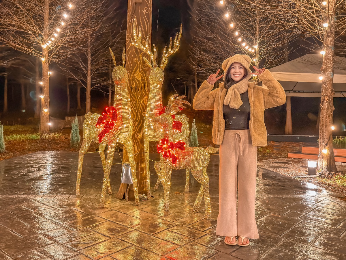 ❤旅宿分享❤【會來尖石溫泉渡假村】新竹尖石露營車推薦｜被落羽松包圍的懶人露營車，在森林裡醒來再去泡溫泉