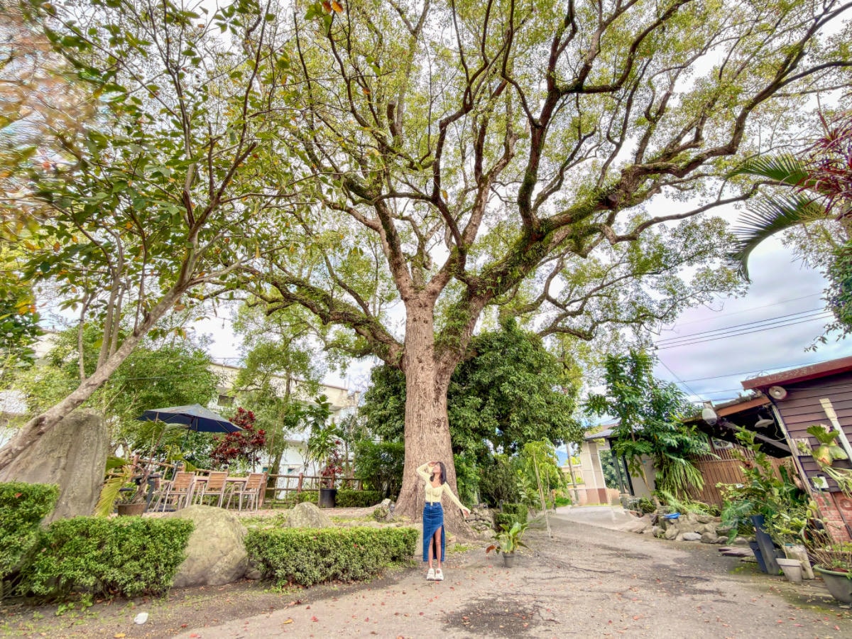 ❤旅宿分享❤【芳草古樹花園｜餐廳｜民宿】全國唯一菸樓改建民宿