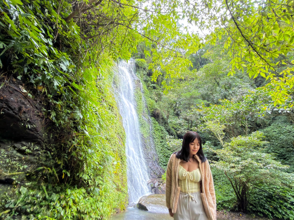 ❤旅宿分享❤【芳草古樹花園｜餐廳｜民宿】全國唯一菸樓改建民宿