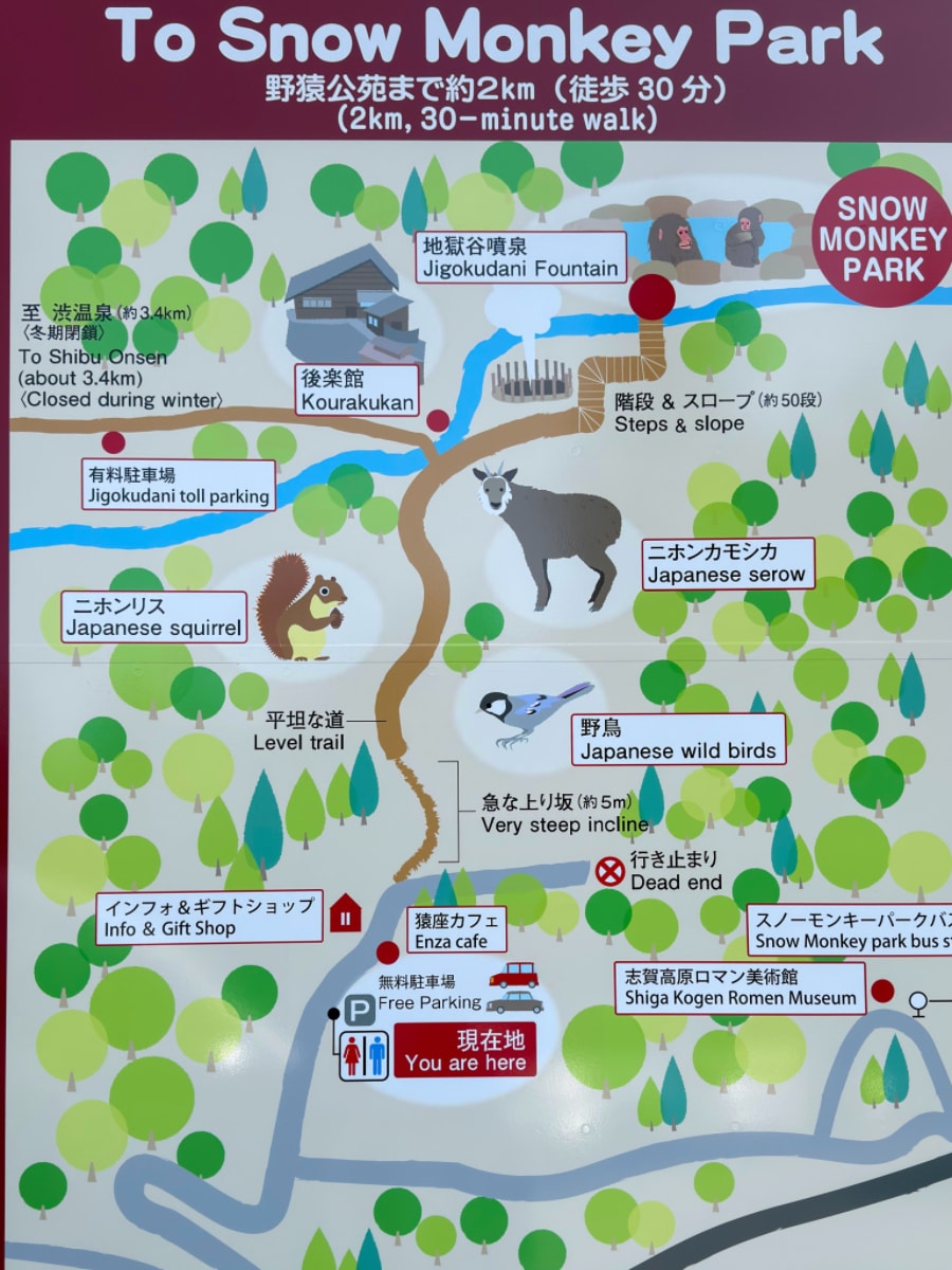 ❤景點分享❤【美黛子遊日本】長野經典觀光一日遊｜雪猴溫泉、千年古剎善光寺、清酒微醺，超值行程大公開！