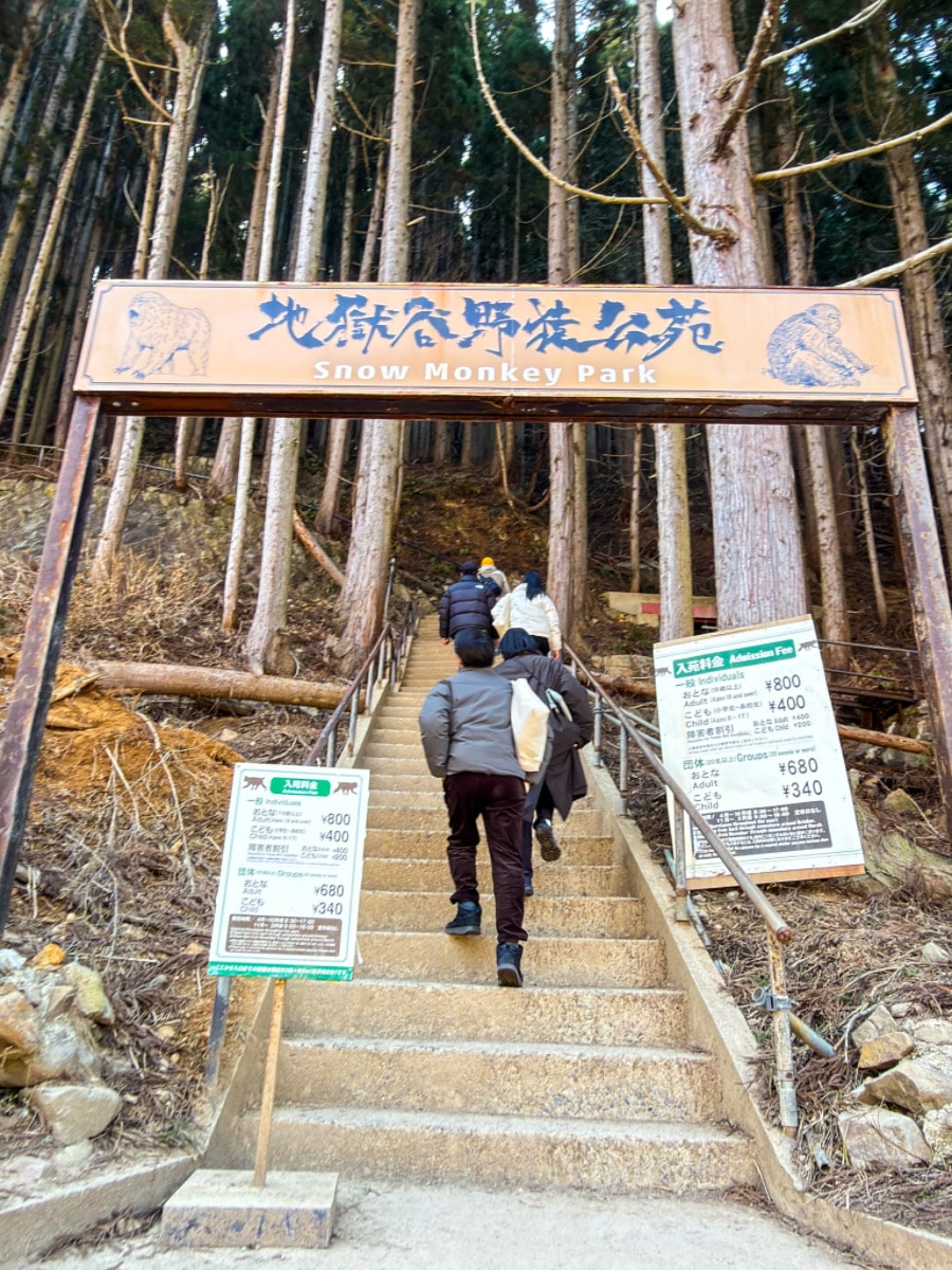❤景點分享❤【美黛子遊日本】長野經典觀光一日遊｜雪猴溫泉、千年古剎善光寺、清酒微醺，超值行程大公開！