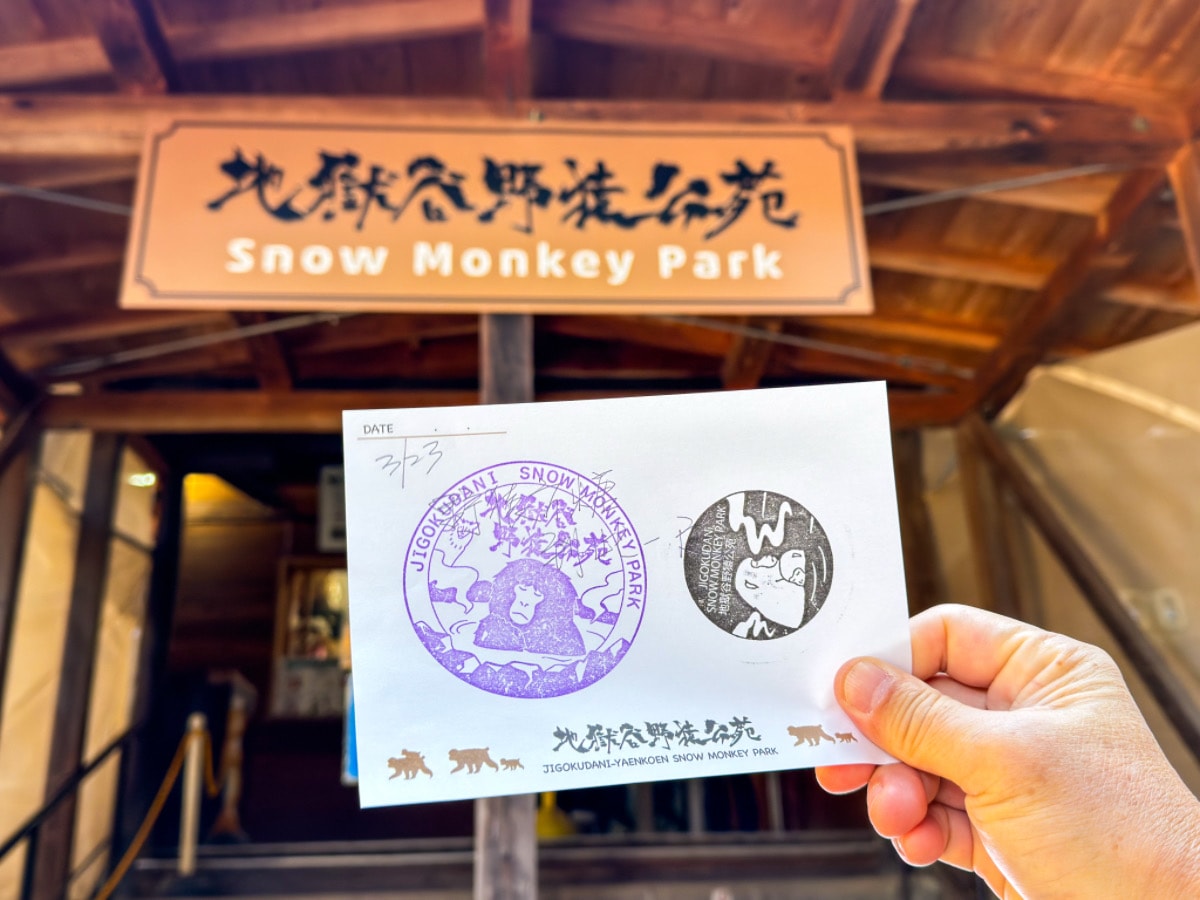 ❤景點分享❤【美黛子遊日本】長野經典觀光一日遊｜雪猴溫泉、千年古剎善光寺、清酒微醺，超值行程大公開！
