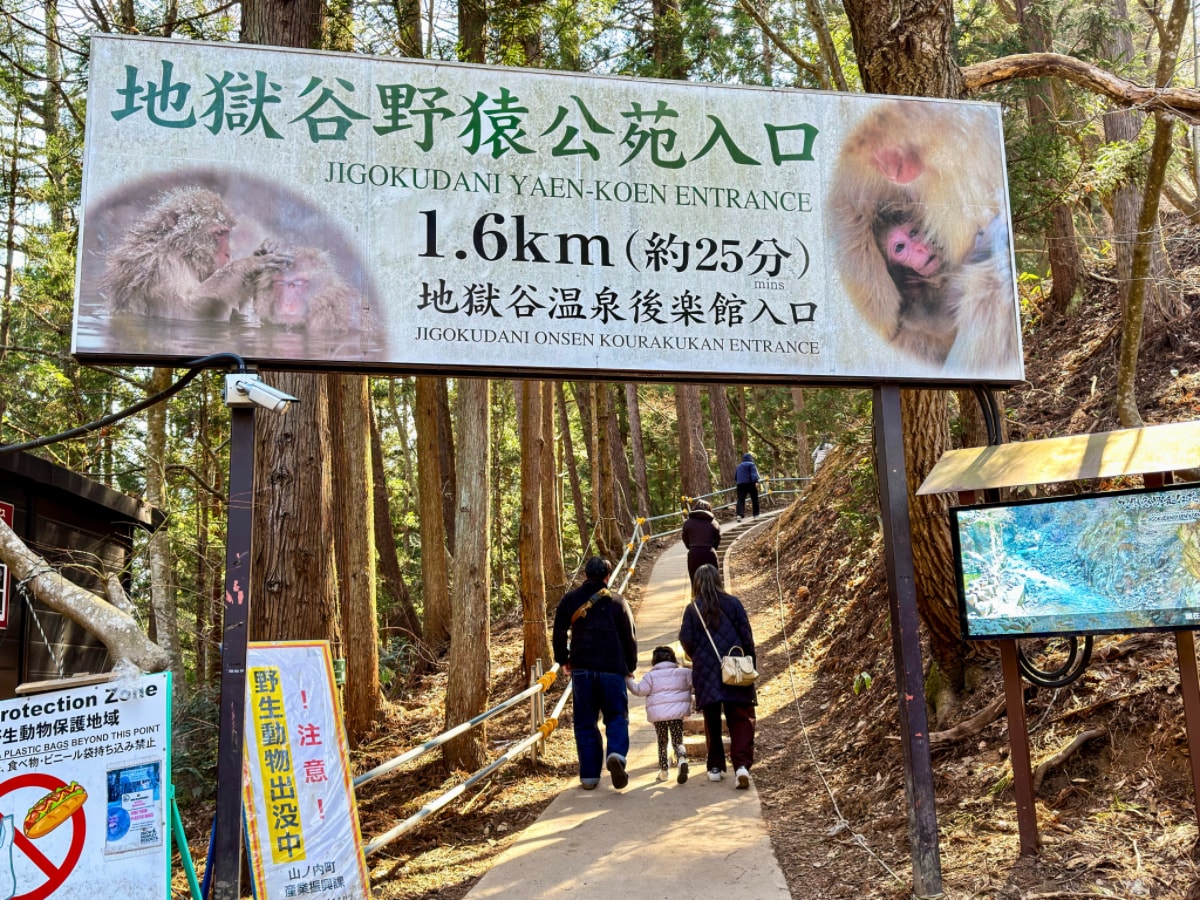 ❤景點分享❤【美黛子遊日本】長野經典觀光一日遊｜雪猴溫泉、千年古剎善光寺、清酒微醺，超值行程大公開！