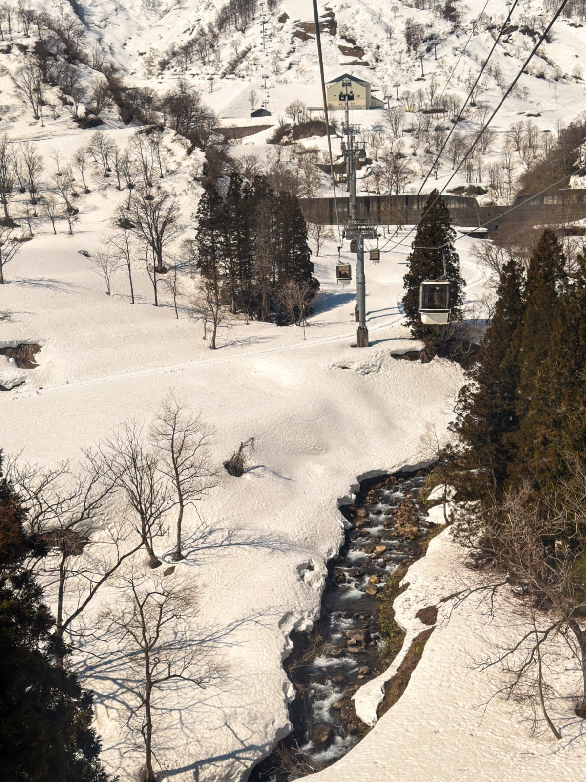 ❤旅宿分享❤【美黛子遊日本】新井樂天滑雪五日遊｜滑雪 x 溫泉 x 高級度假村一次滿足（新井樂天 Lotte Arai Resort 完整開箱）