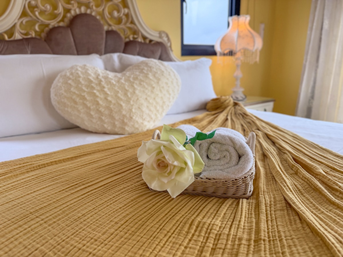 ❤旅宿分享❤【夏米兒Chamuel Villa】宜蘭包棟民宿推薦員山頂級夢幻莊園：充氣城堡、專屬管家、機場接駁+頂級午茶饗宴！