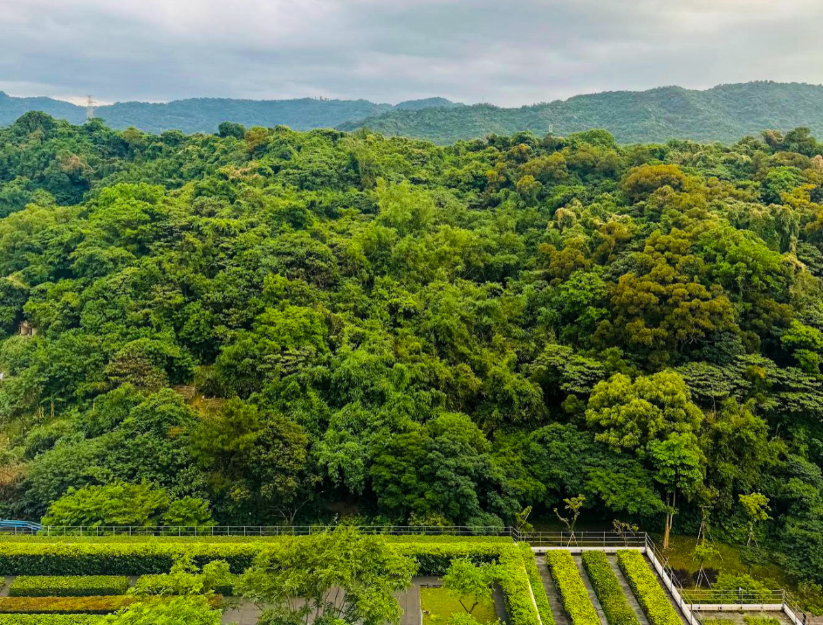 ❤旅宿分享❤【台北六福萬怡酒店】南港住宿推薦！四鐵共構雙大床客房、在地早餐與空中花園開箱